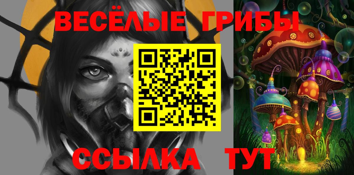 Псилоцибиновые грибы Cubensis  Вход с VPN  купить наркотик  Псилоцибиновые грибы Psilocybine cubensis  Ноябрьск 